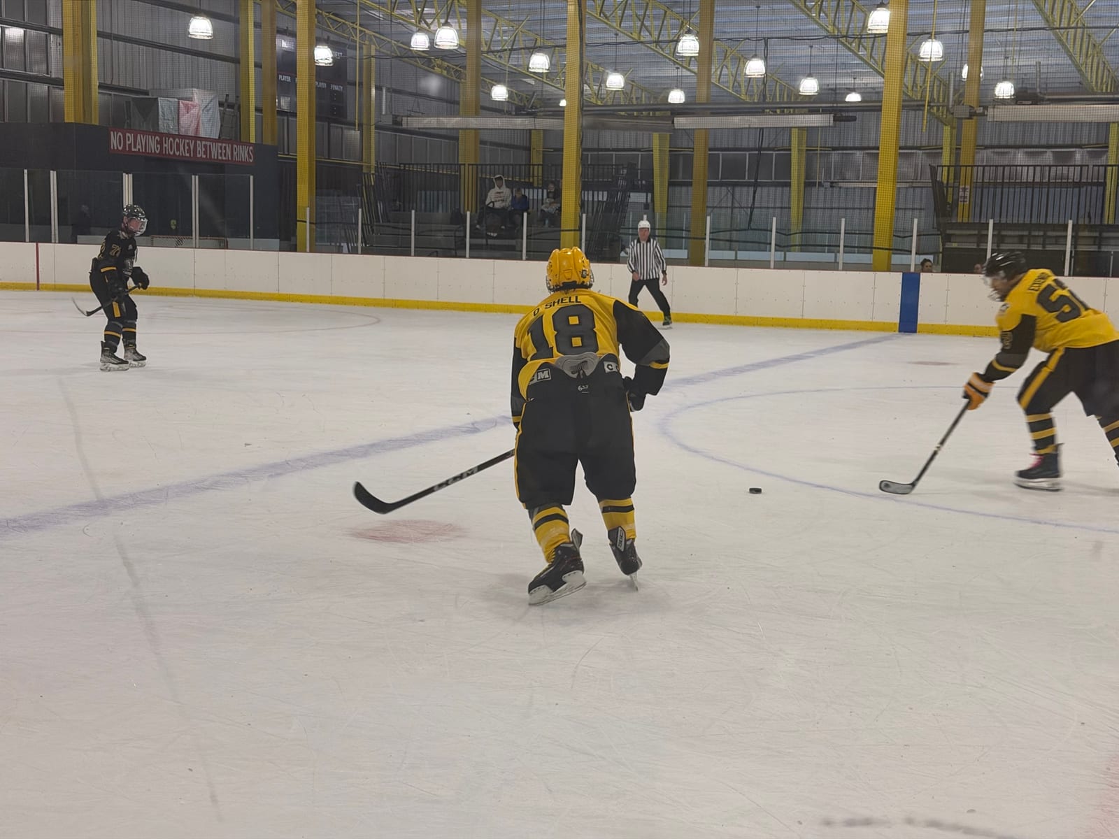 Players skating at RMU Island Sports Center