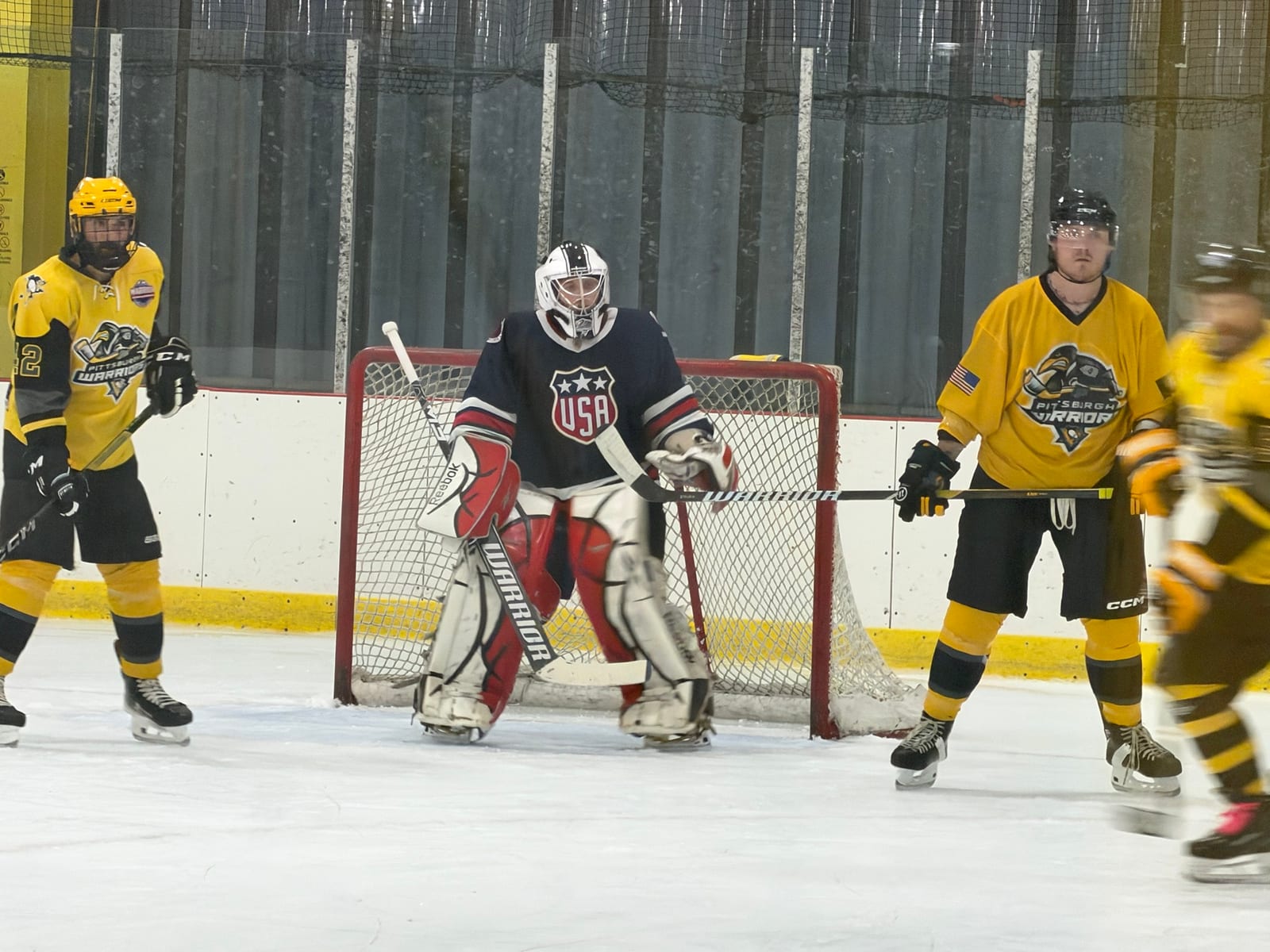 Goalie and players in front of the net