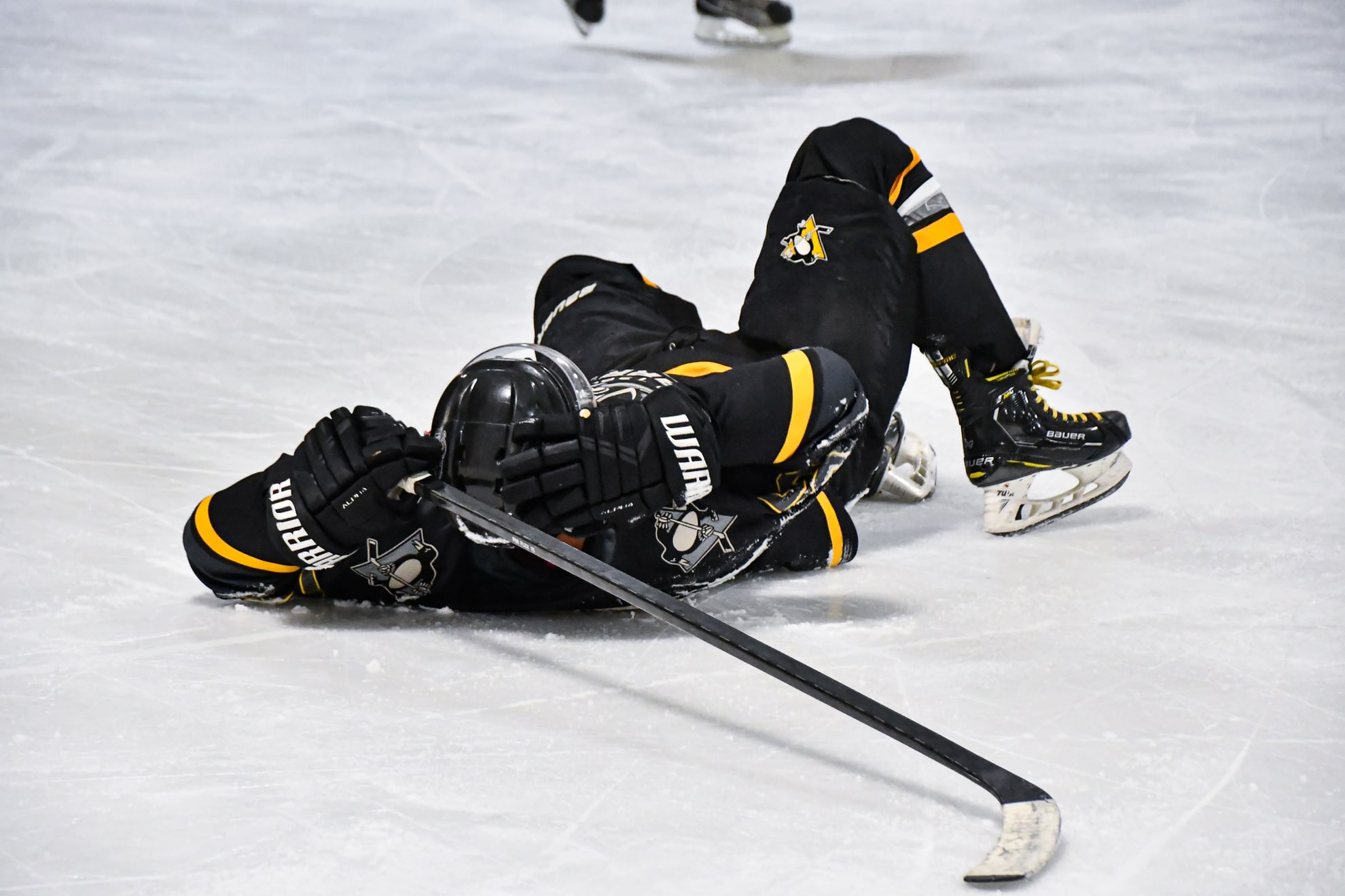 Pittsburgh Warriors program photo 5
