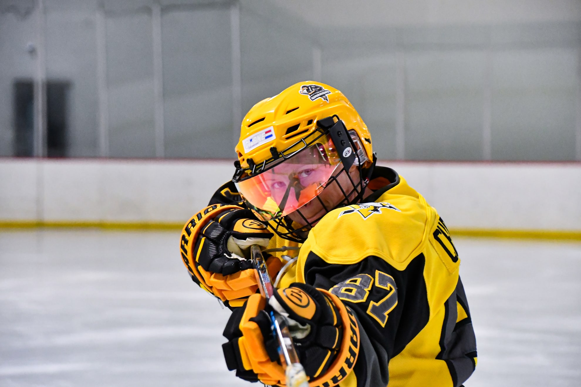 Pittsburgh Warriors