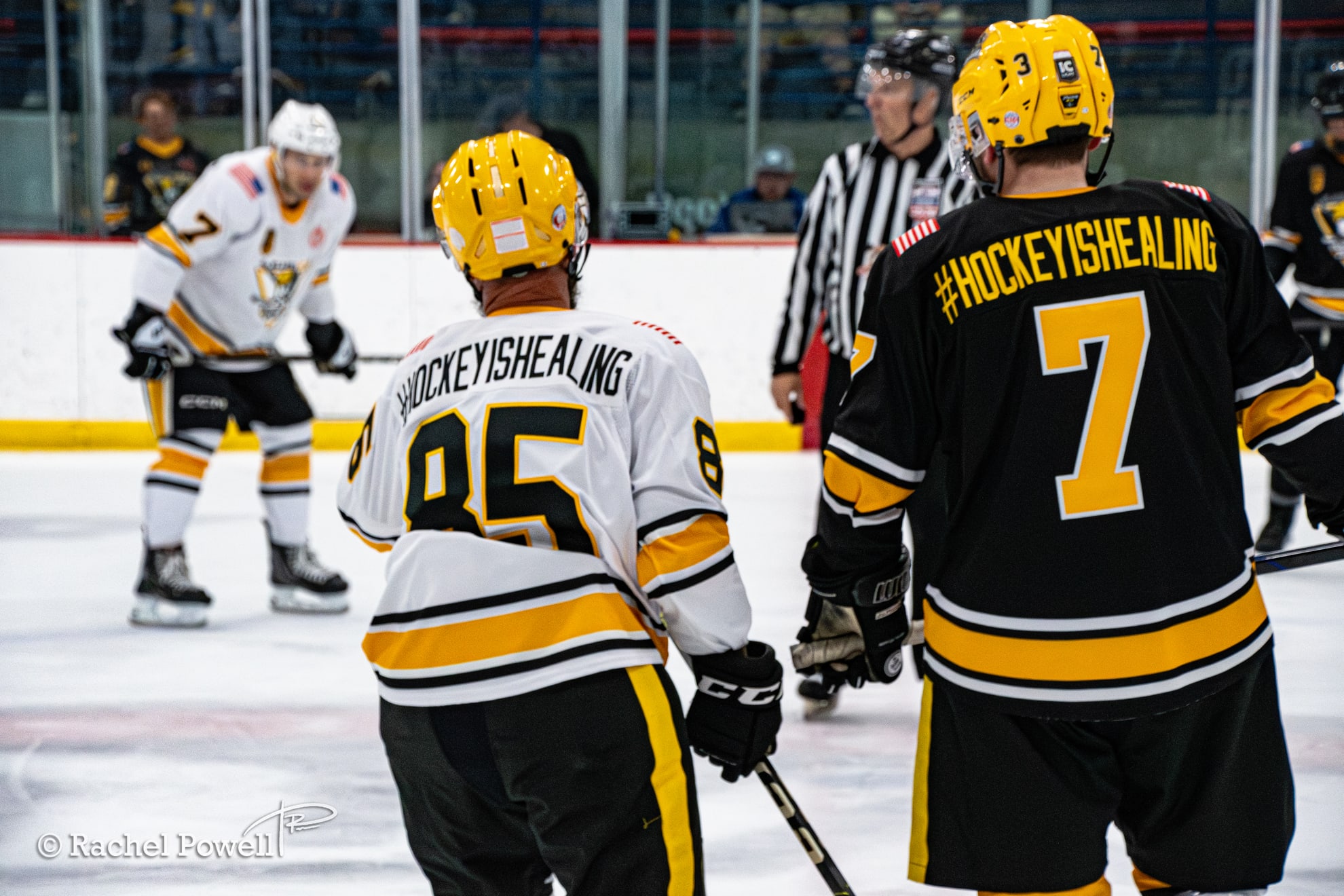 Pittsburgh Warriors program photo 5