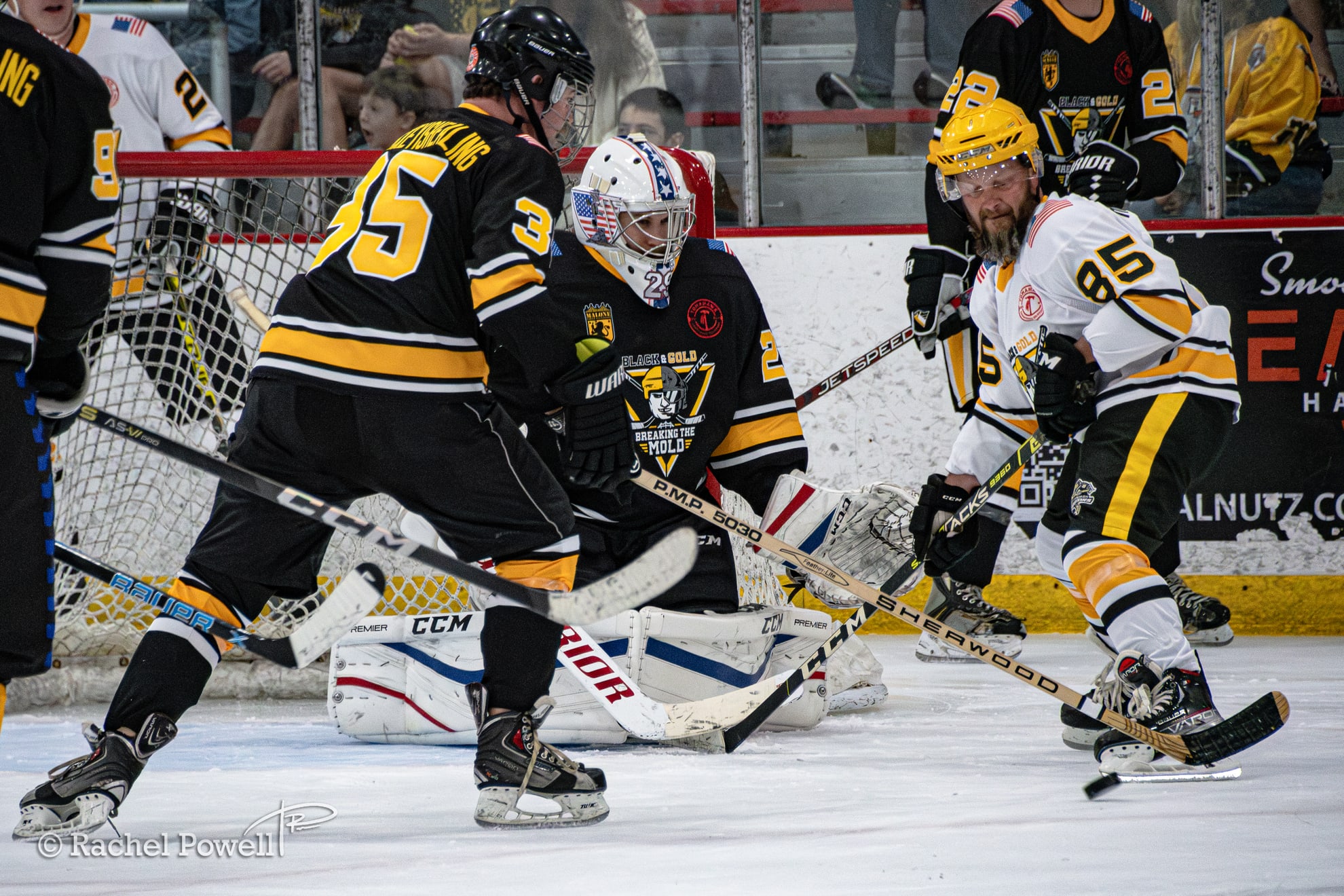 Pittsburgh Warriors program photo 5