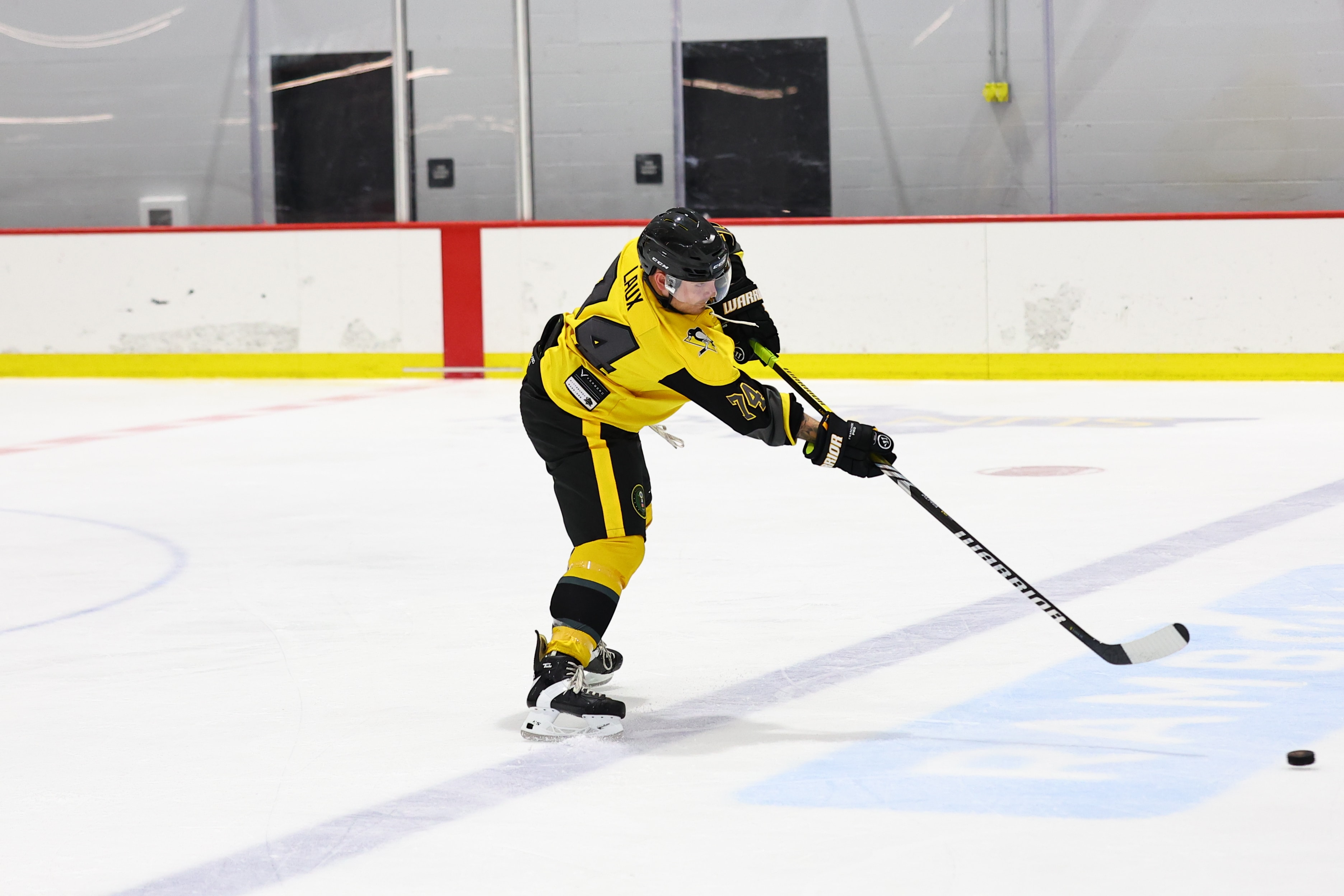 Motor City Veterans Hockey game photo